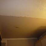 Bathroom Repair - New Sheetrock