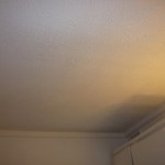 Bathroom Repair - New Texture