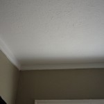 Bathroom Repair - Wall Paint